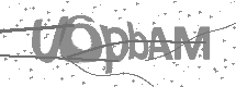 Doğrulama Kodu